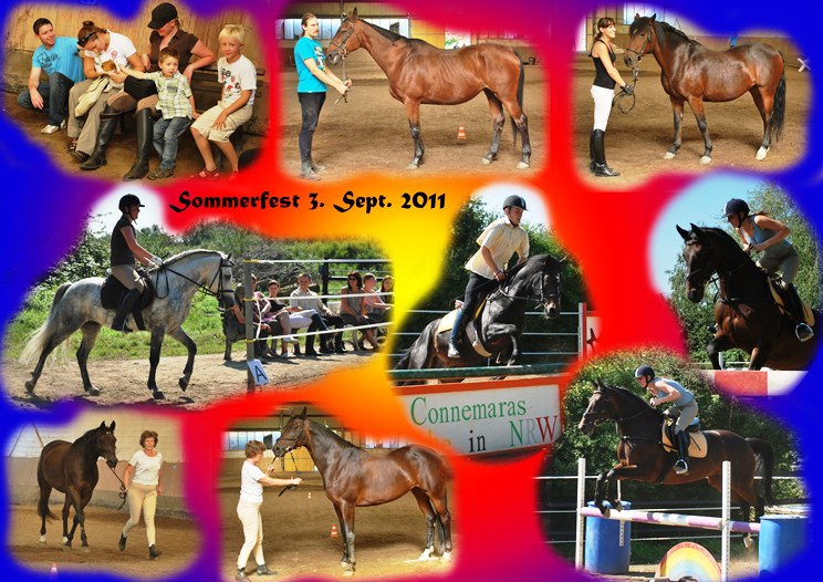 Impressionen